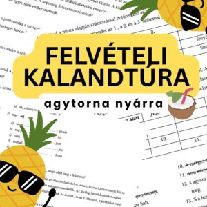 FELVÉTELI KALANDTÚRA – Agytorna nyárra